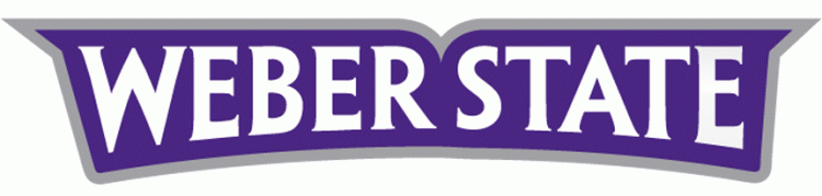 Weber State Wildcats 2012-Pres Wordmark Logo diy DTF decal sticker